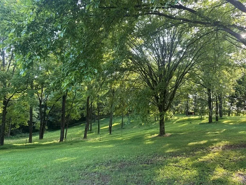784 Sunset Ridge Lane Hilham TN 38568
