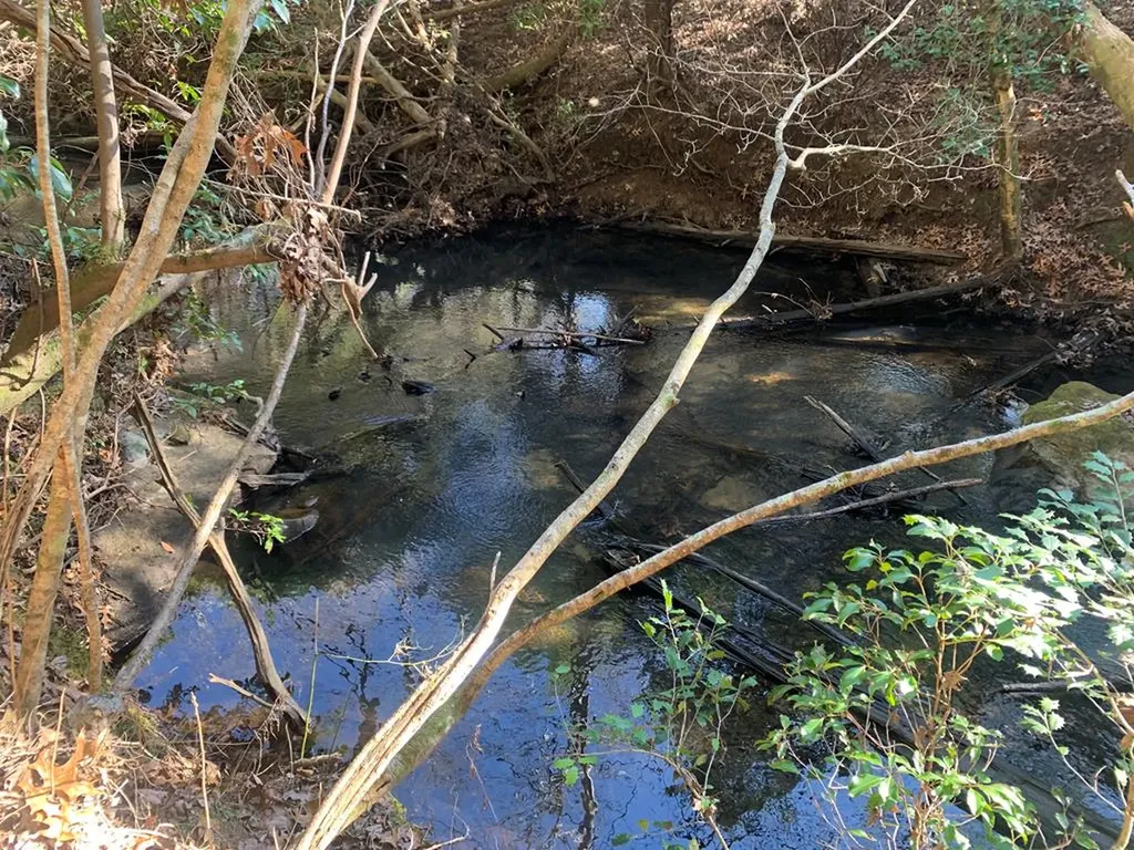 Tract 2 Lone Wolf Trail Spencer TN 38585