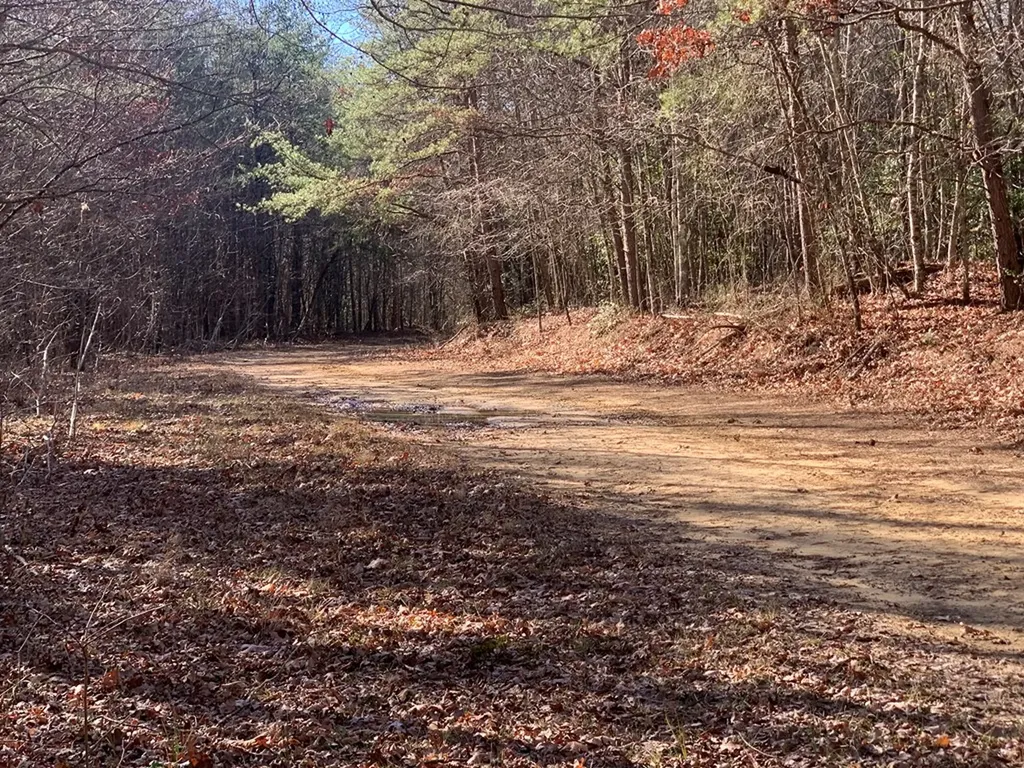 Tract 2 Lone Wolf Trail Spencer TN 38585