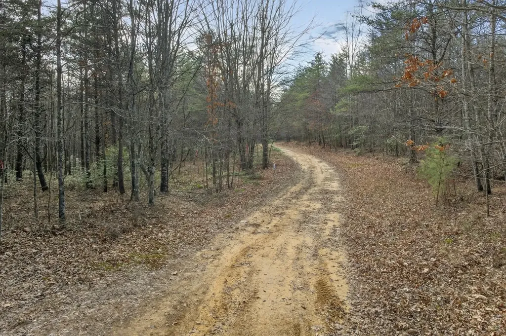 Tract 2 Lone Wolf Trail Spencer TN 38585