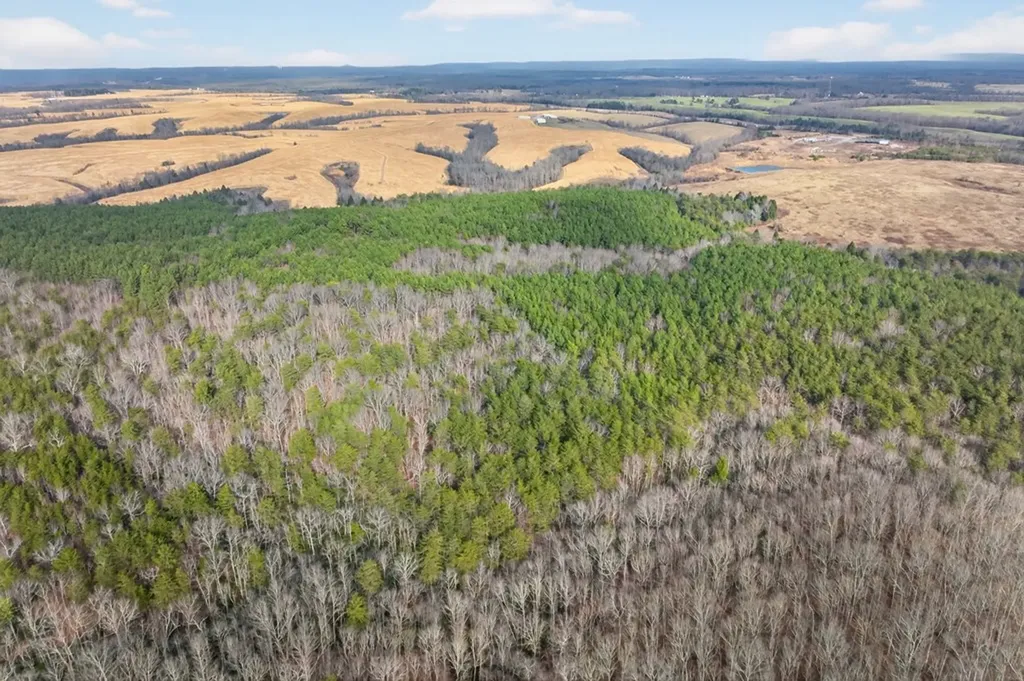 Tract 2 Lone Wolf Trail Spencer TN 38585