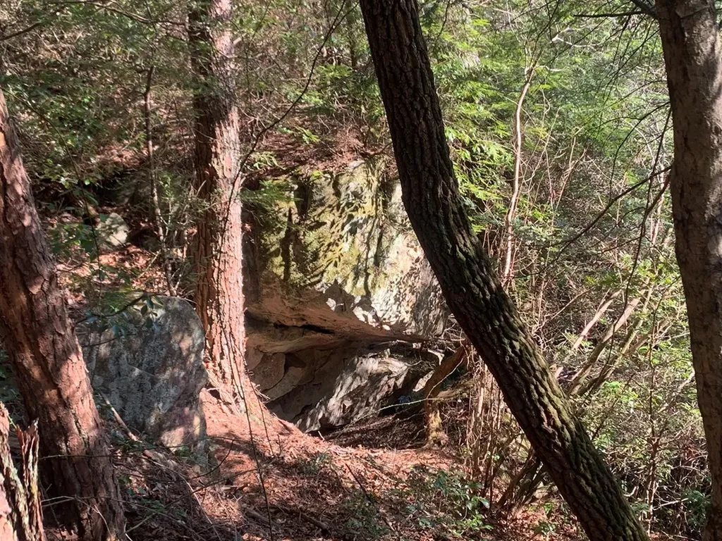 Tract 2 Lone Wolf Trail Spencer TN 38585