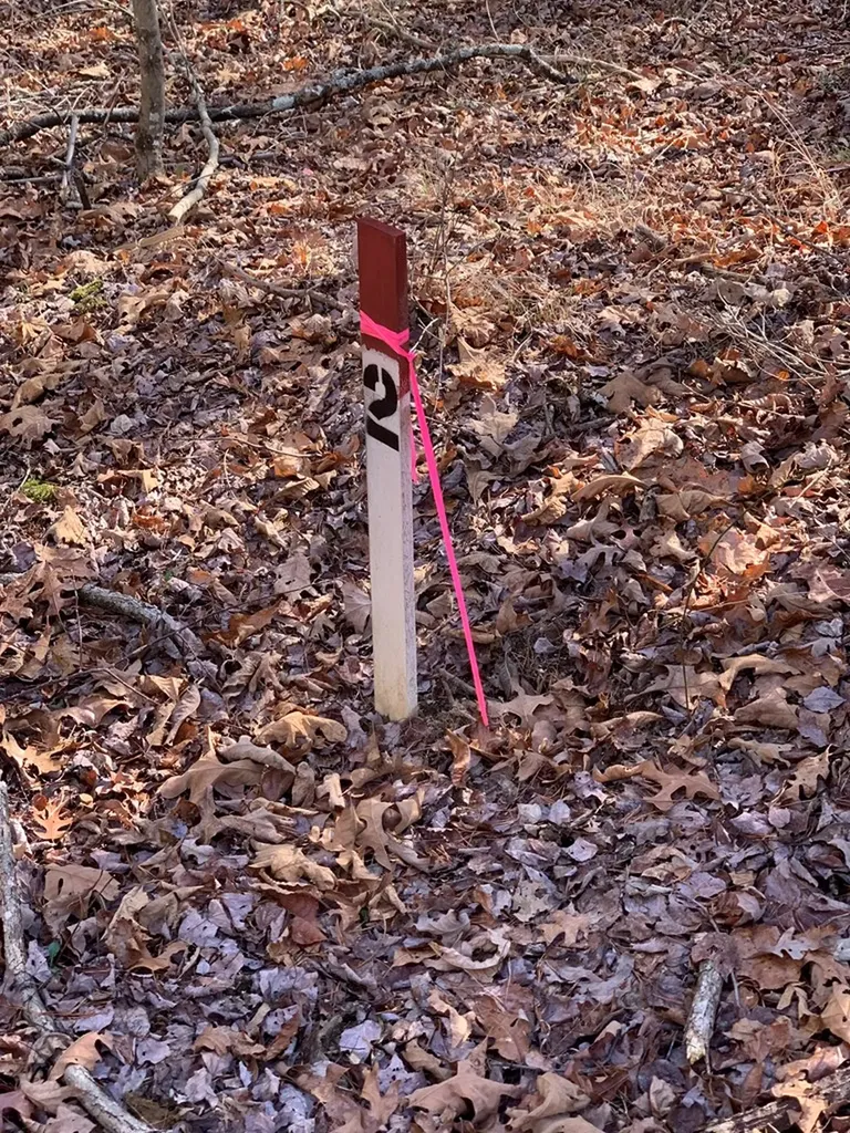 Tract 2 Lone Wolf Trail Spencer TN 38585