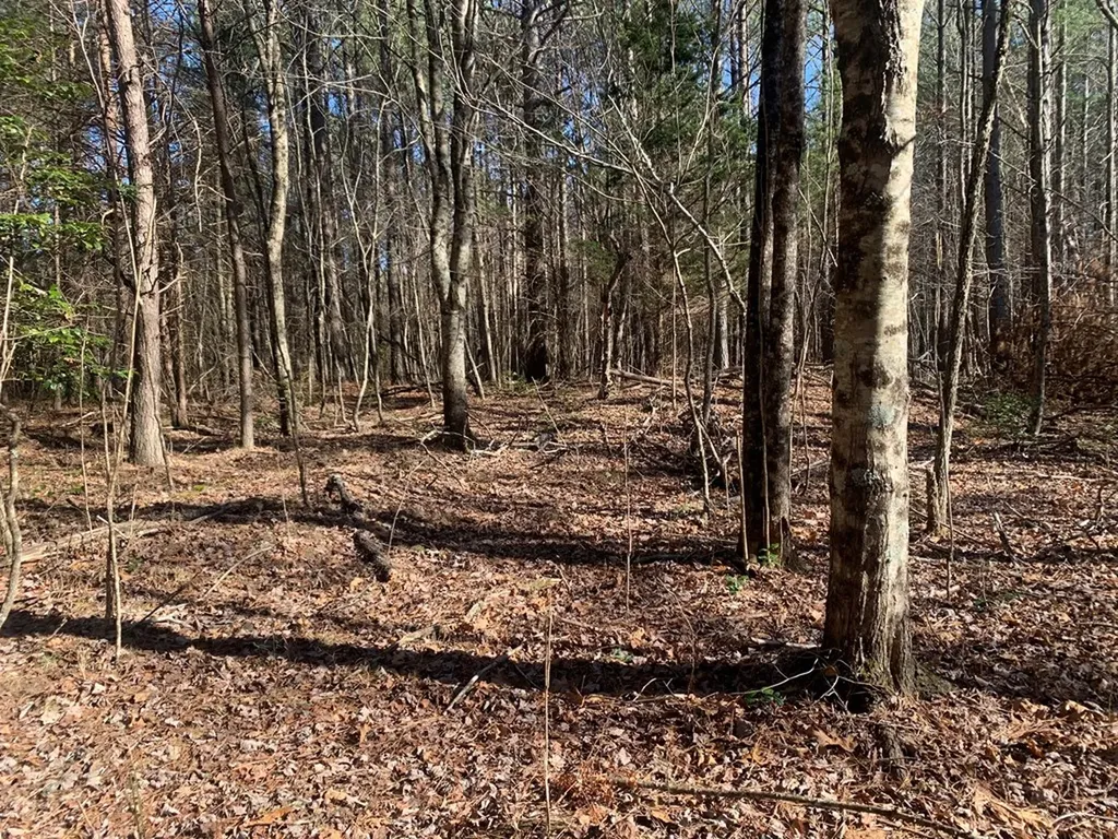 Tract 2 Lone Wolf Trail Spencer TN 38585