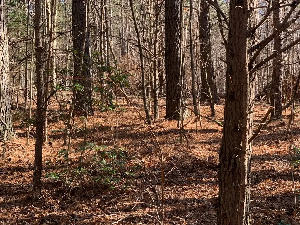Tract 2 Lone Wolf Trail Spencer TN 38585