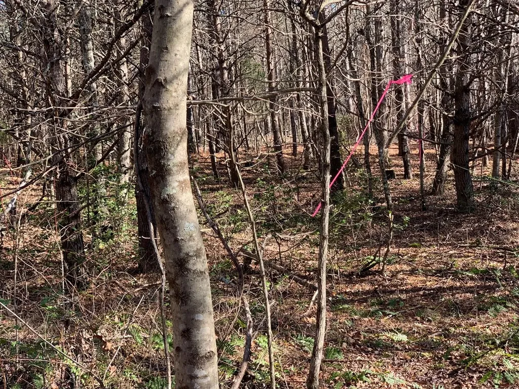 Tract 2 Lone Wolf Trail Spencer TN 38585