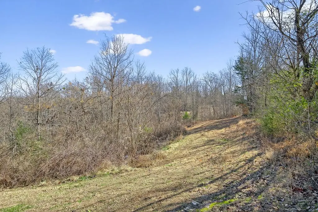 39 Old Highway 52 Celina TN 38551