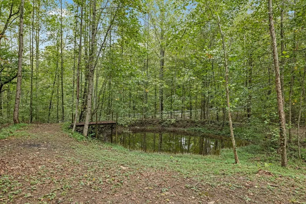 2543 S Bunker Hill Sparta TN 38583