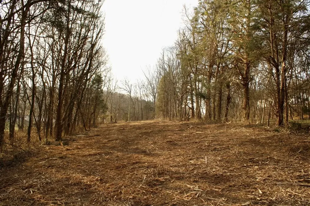 237 Grant Highway Gordonsville TN 38563