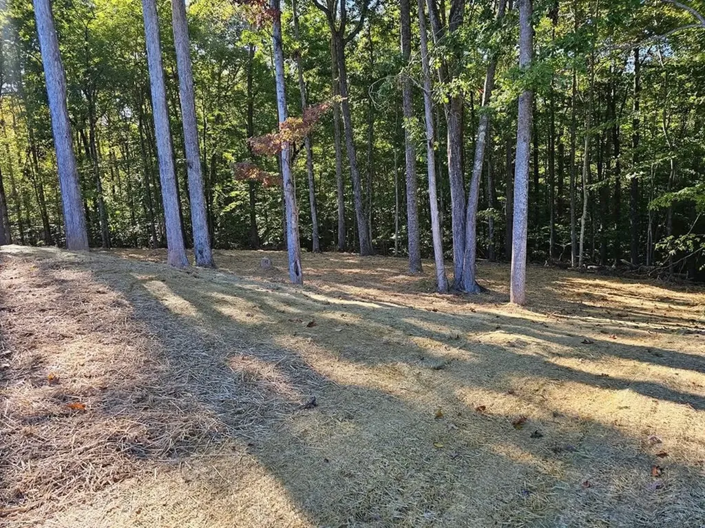 123 Lee Court Gainesboro TN 38562