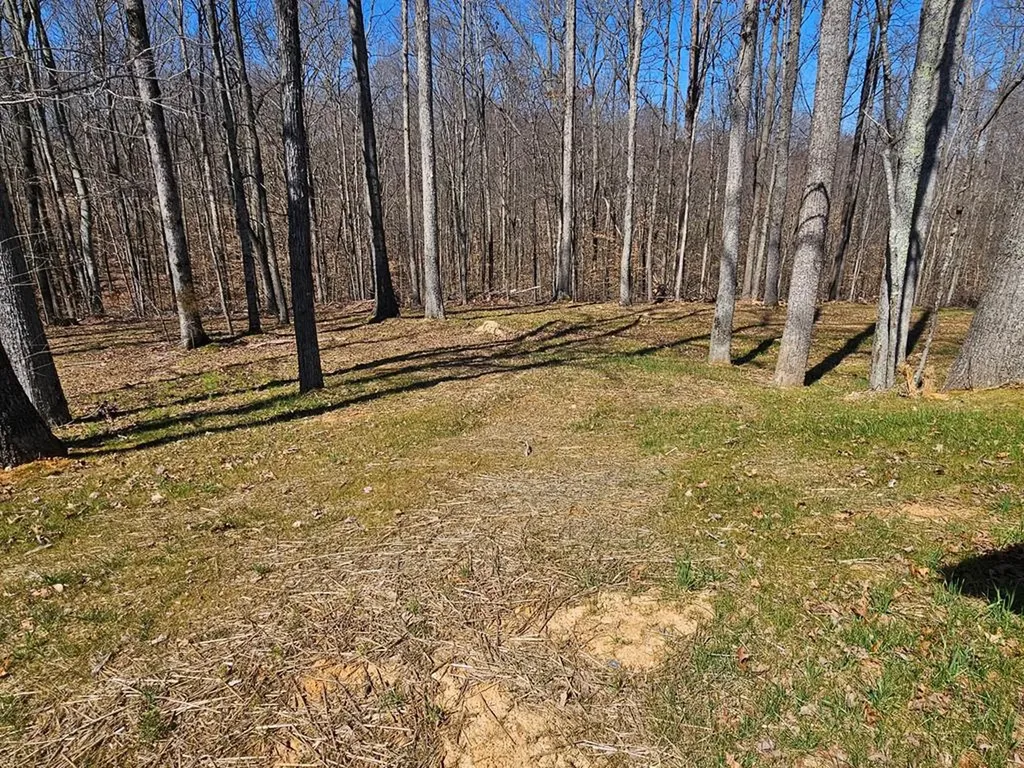 123 Lee Court Gainesboro TN 38562