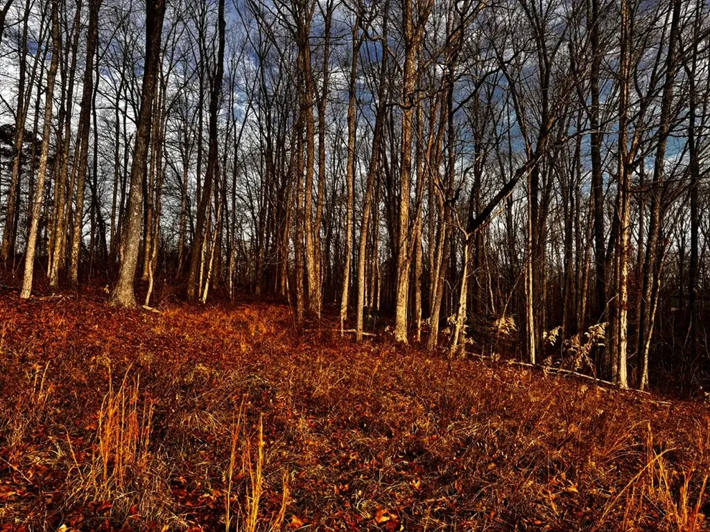 Tbd Smith Mountain Rockwood TN 37854