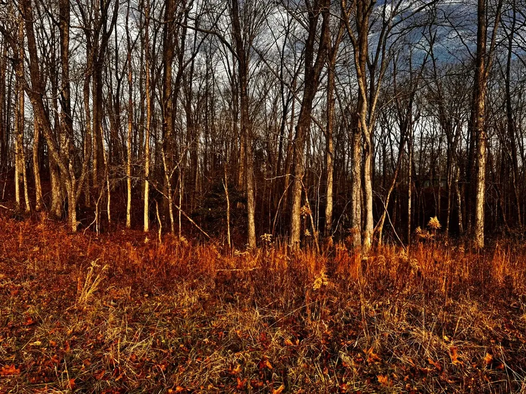 Tbd Smith Mountain Rockwood TN 37854