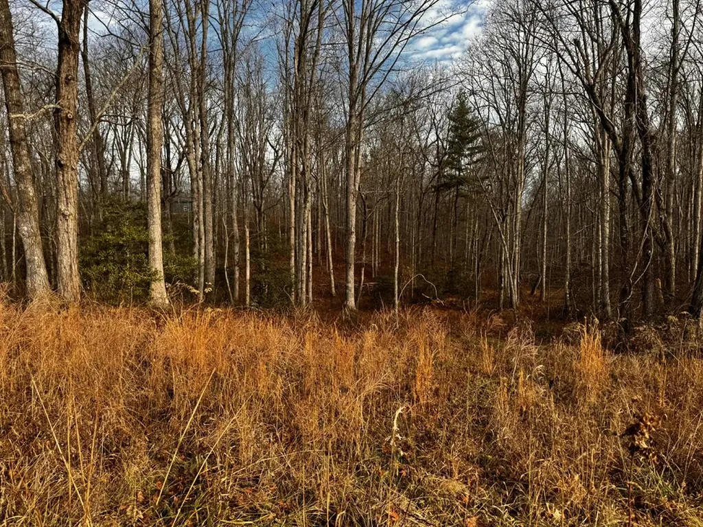 Tbd Smith Mountain Rockwood TN 37854