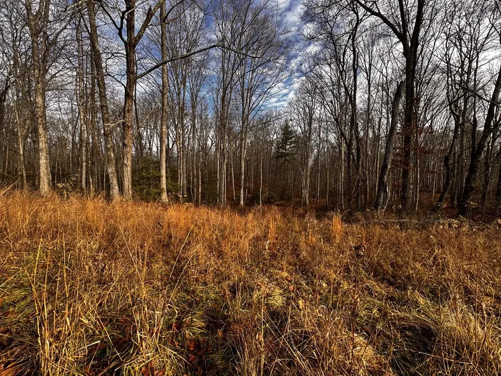 Tbd Smith Mountain Rockwood TN 37854