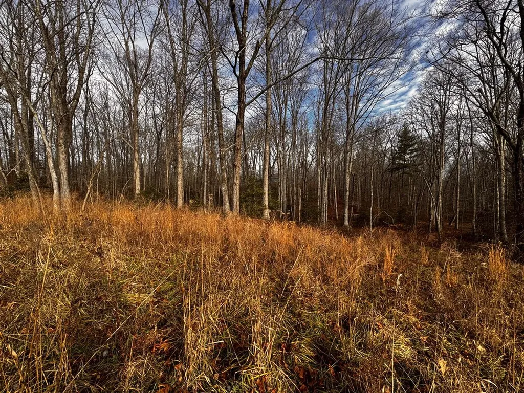 Tbd Smith Mountain Rockwood TN 37854