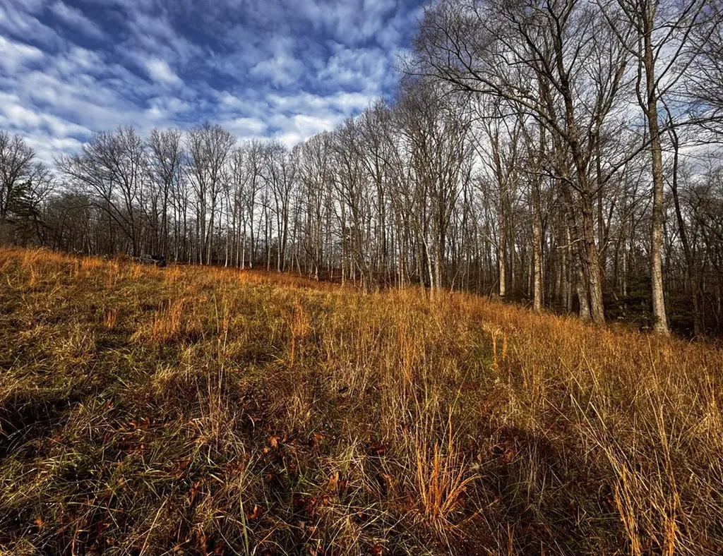 Tbd Smith Mountain Rockwood TN 37854