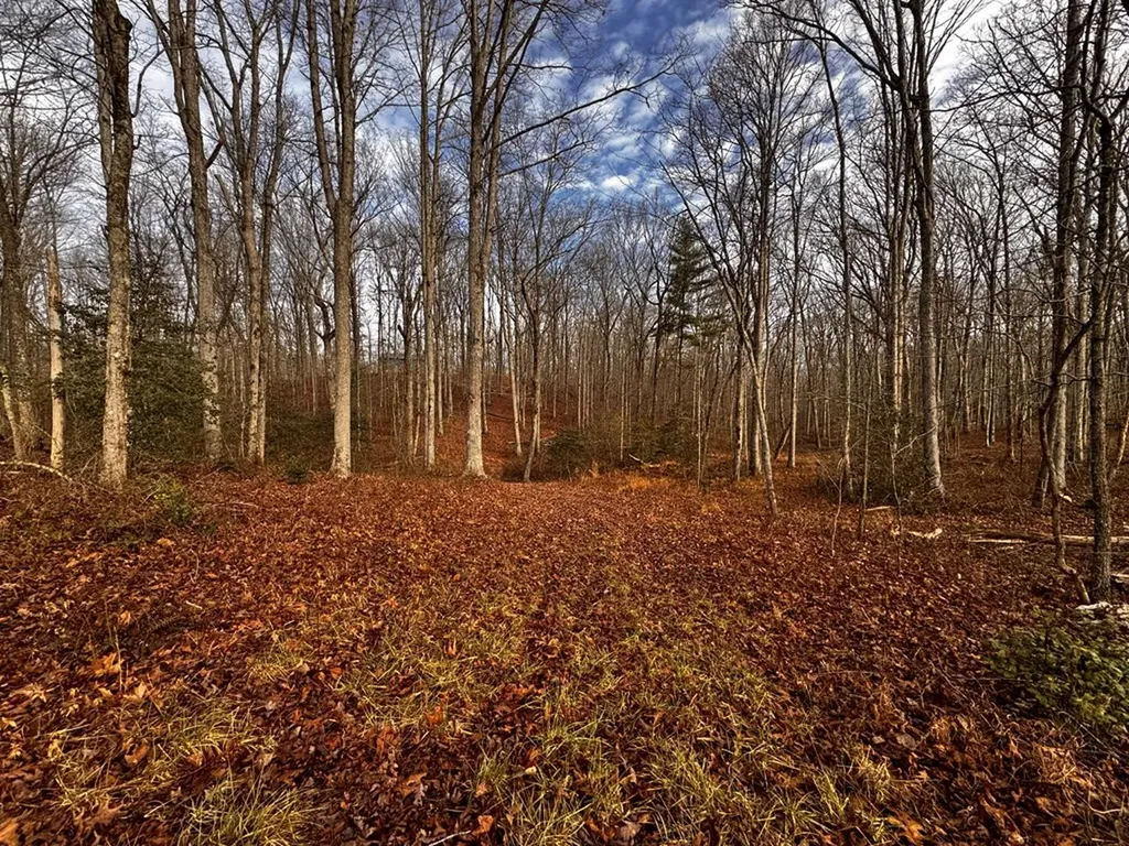 Tbd Smith Mountain Rockwood TN 37854