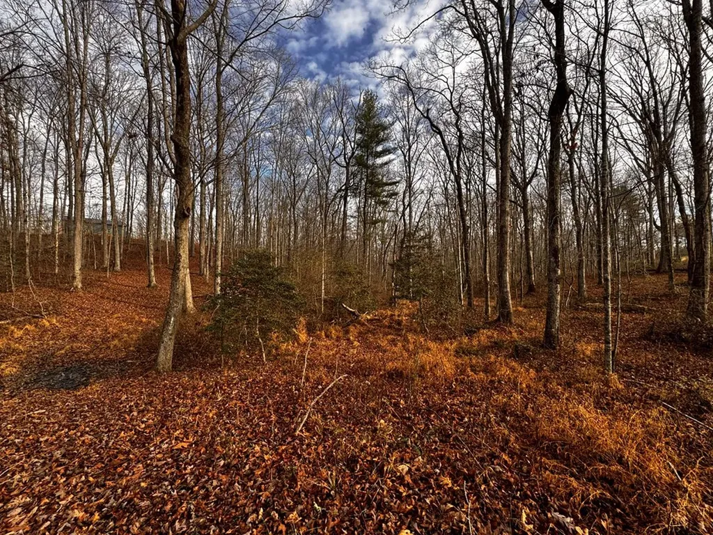 Tbd Smith Mountain Rockwood TN 37854