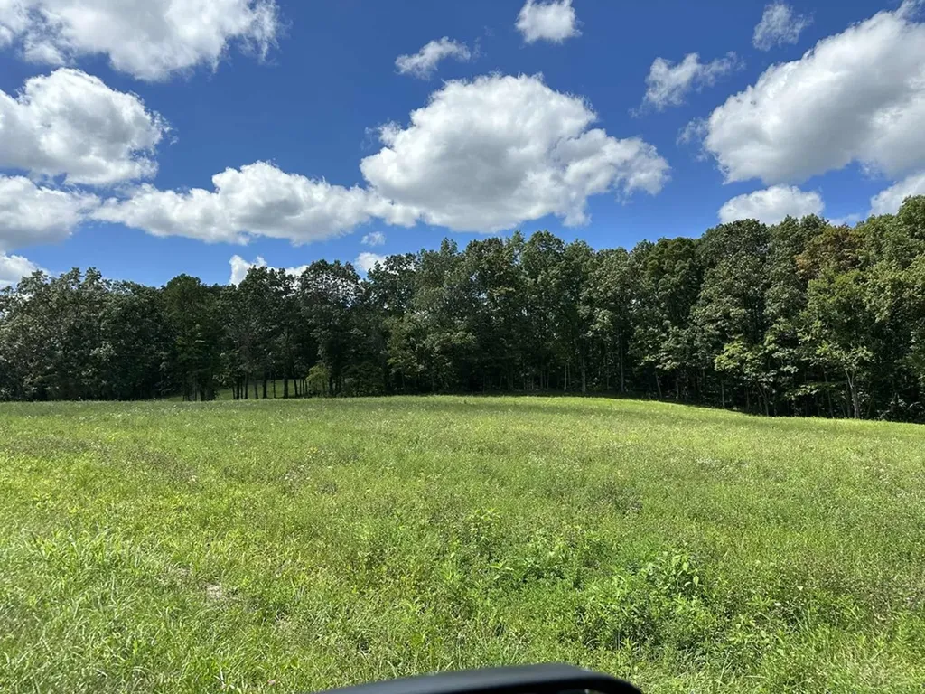 Tbd Smith Mountain Rockwood TN 37854