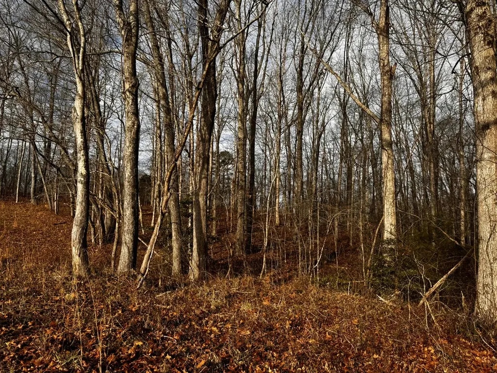 Tbd Smith Mountain Rockwood TN 37854