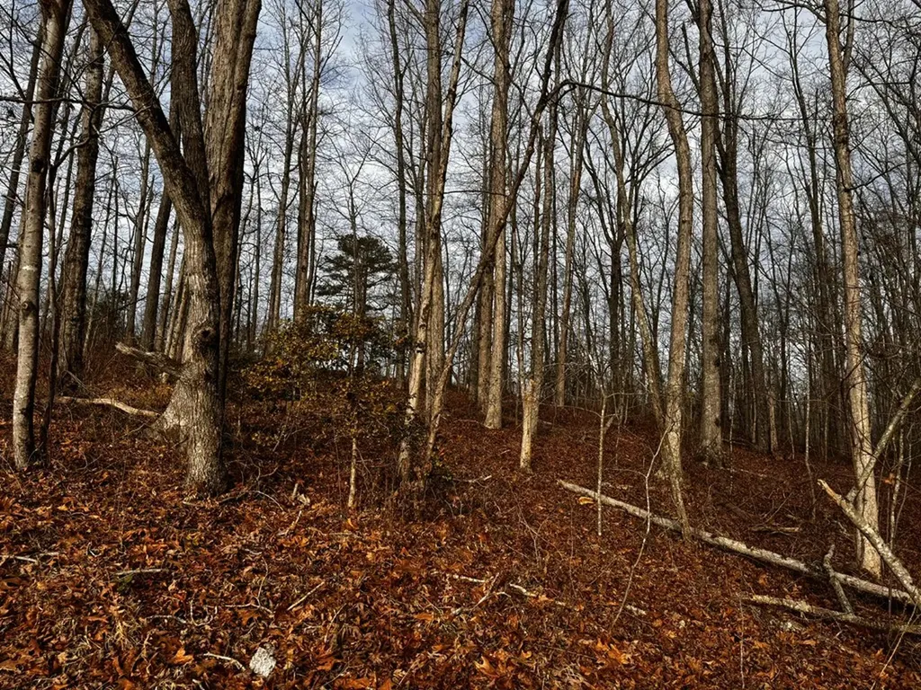Tbd Smith Mountain Rockwood TN 37854
