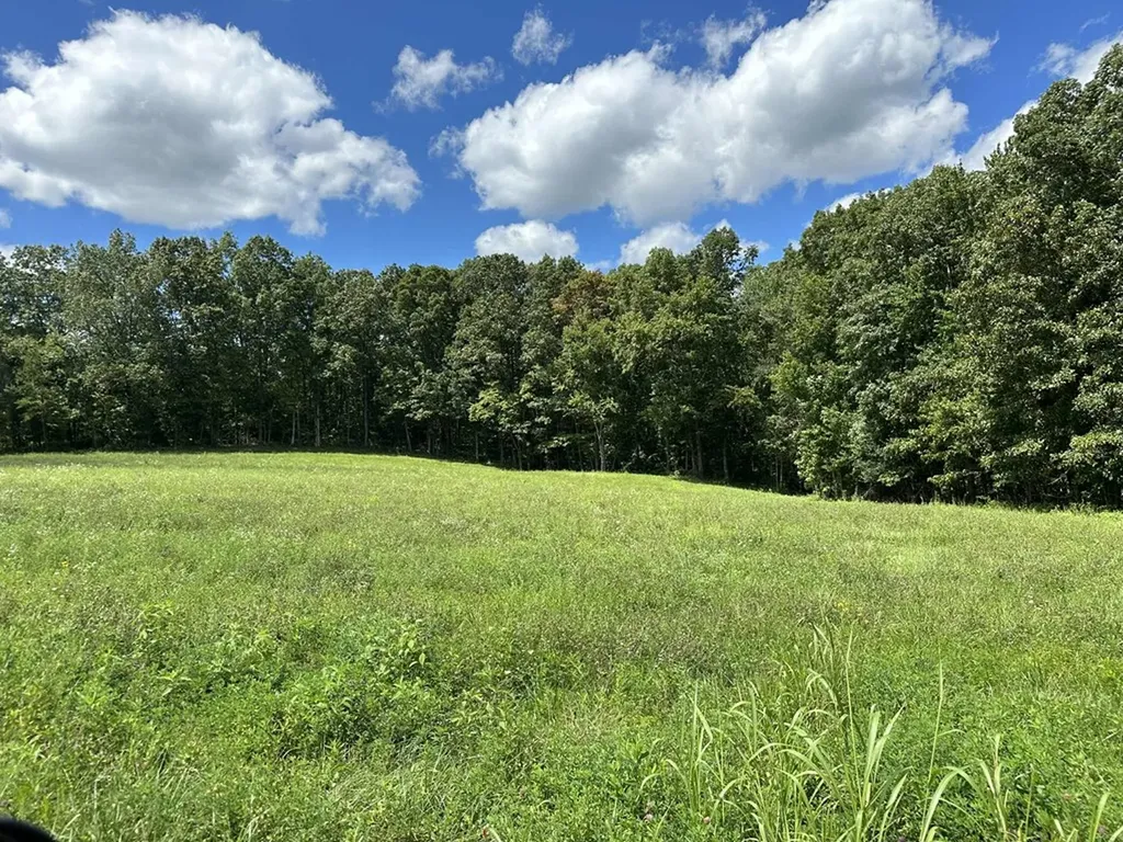 Tbd Smith Mountain Rockwood TN 37854
