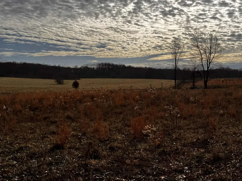 Tbd Smith Mountain Rockwood TN 37854