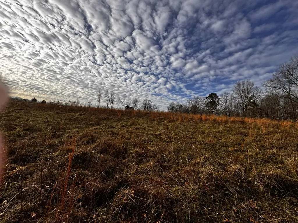 Tbd Smith Mountain Rockwood TN 37854