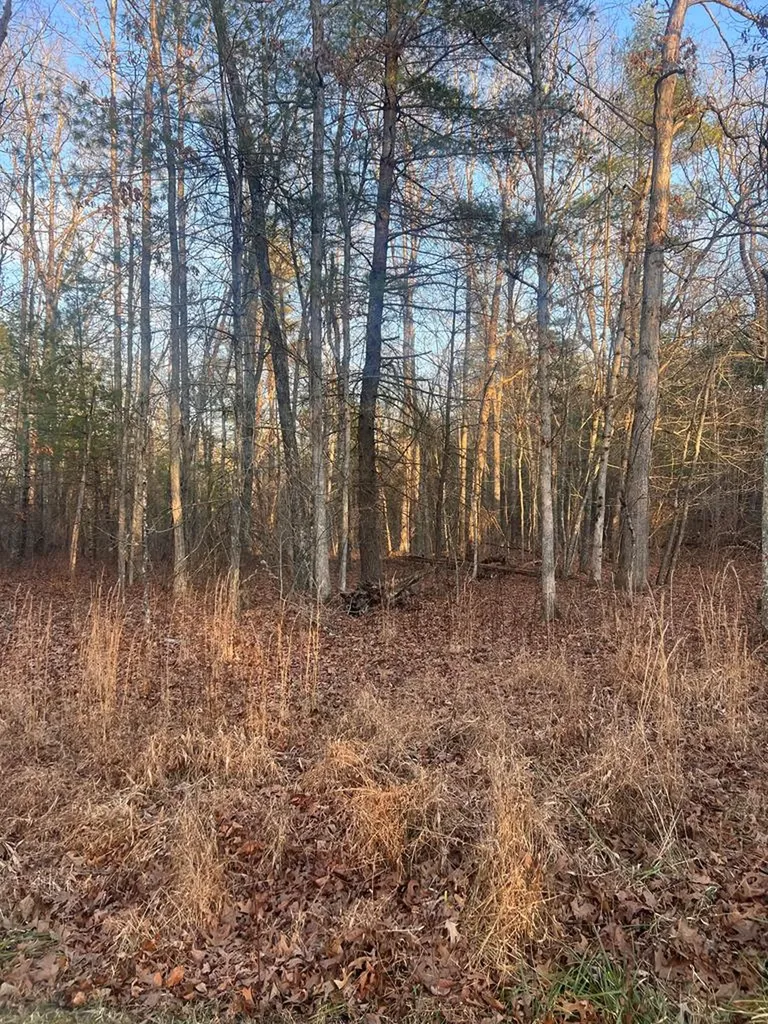 7003 Talahatchie Drive Crossville TN 38572