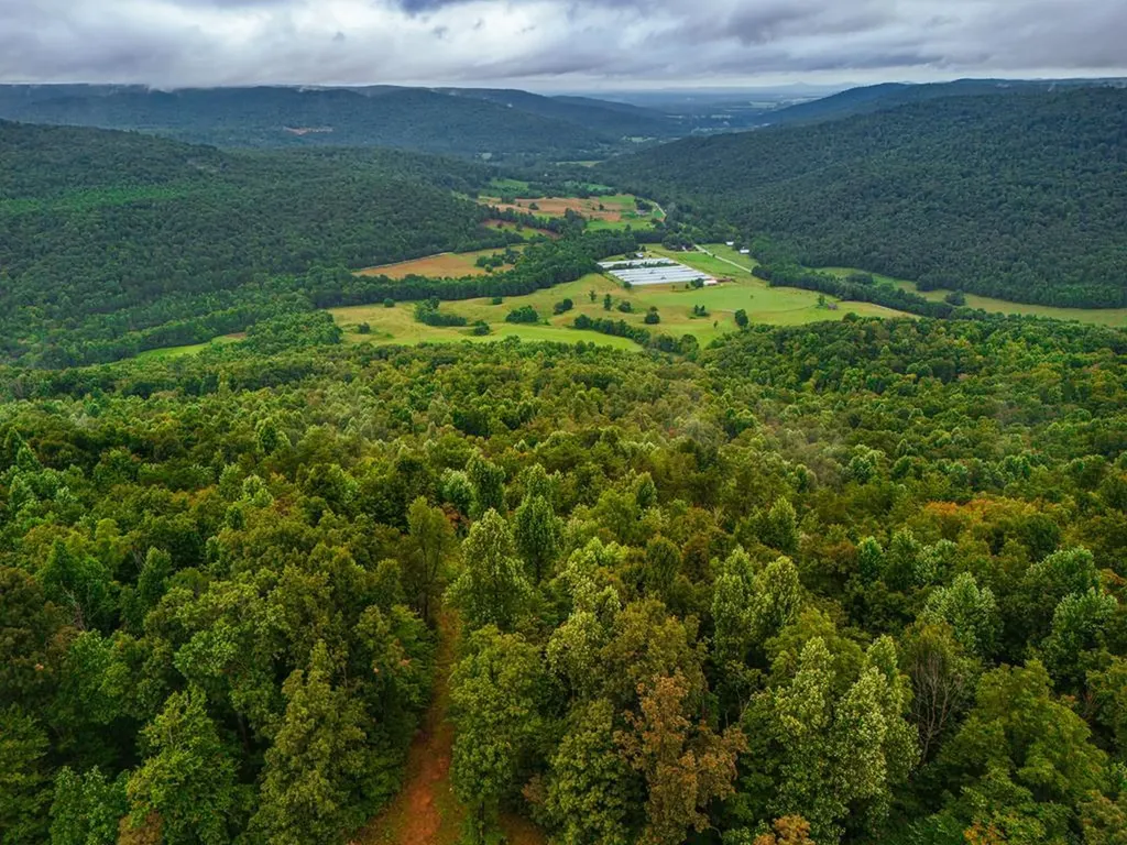 5.1AC Bear Knob Lane Crawford TN 38554