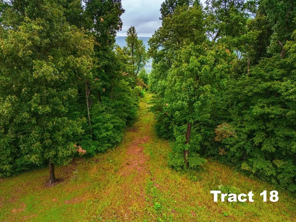 5.1AC Bear Knob Lane Crawford TN 38554