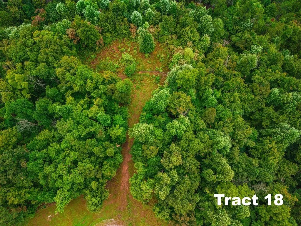 5.1AC Bear Knob Lane Crawford TN 38554