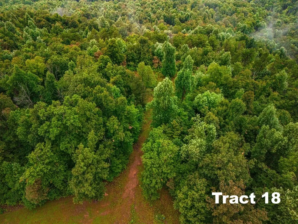 5.1AC Bear Knob Lane Crawford TN 38554