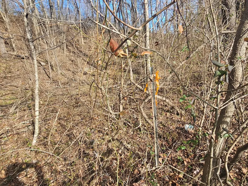 8.82 Ac Salem Road Cookeville TN 38501