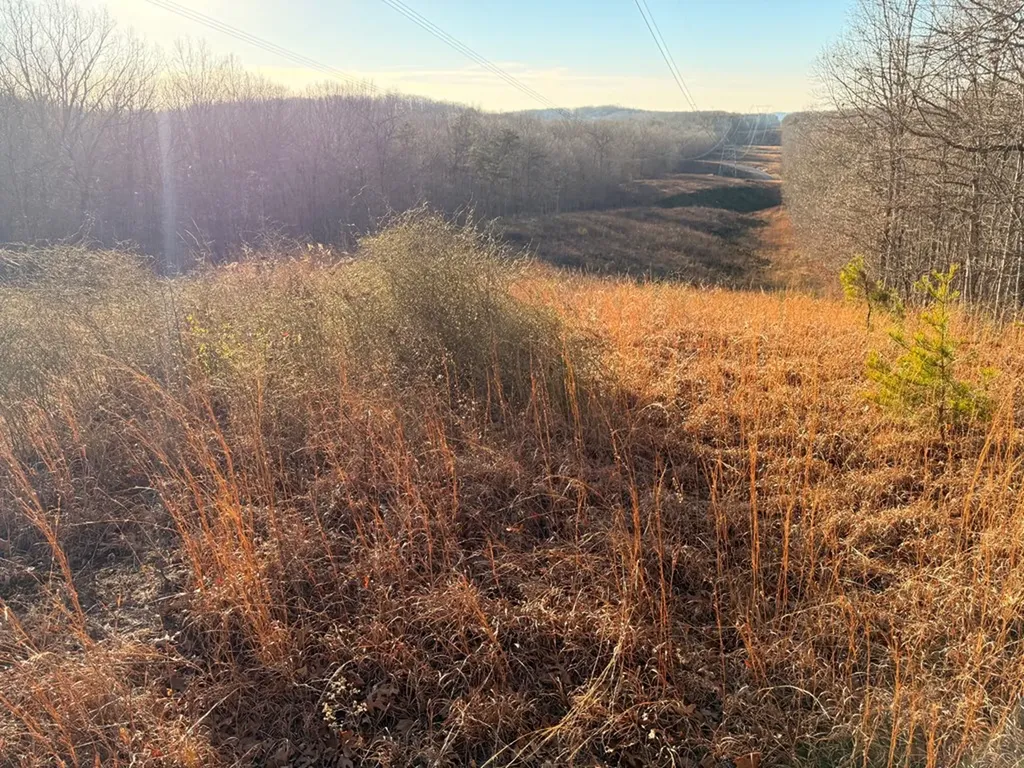 2156 Street Place Loop Monterey TN 38574