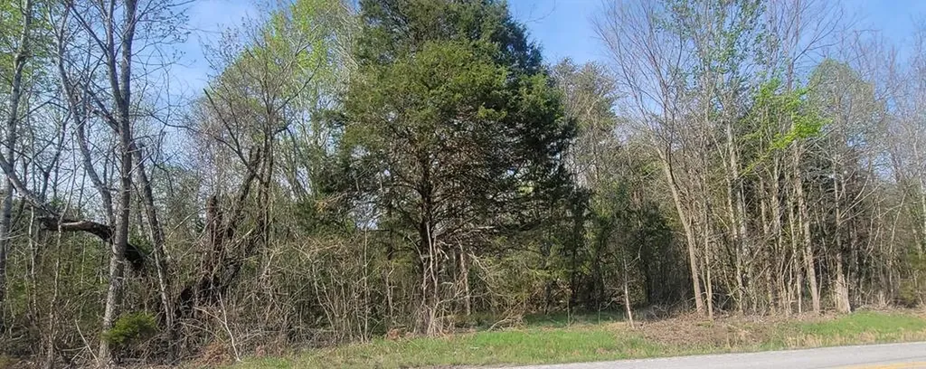 2323 College Street Spencer TN 38585