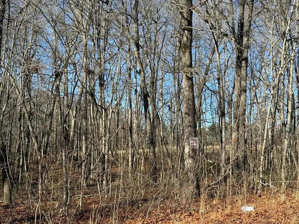 Lot 14 Georgee Road Jamestown TN 38556