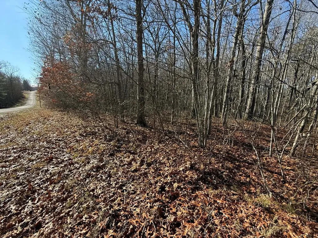 Lot 14 Georgee Road Jamestown TN 38556