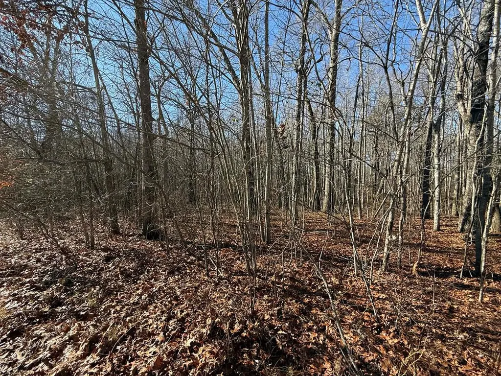 Lot 14 Georgee Road Jamestown TN 38556