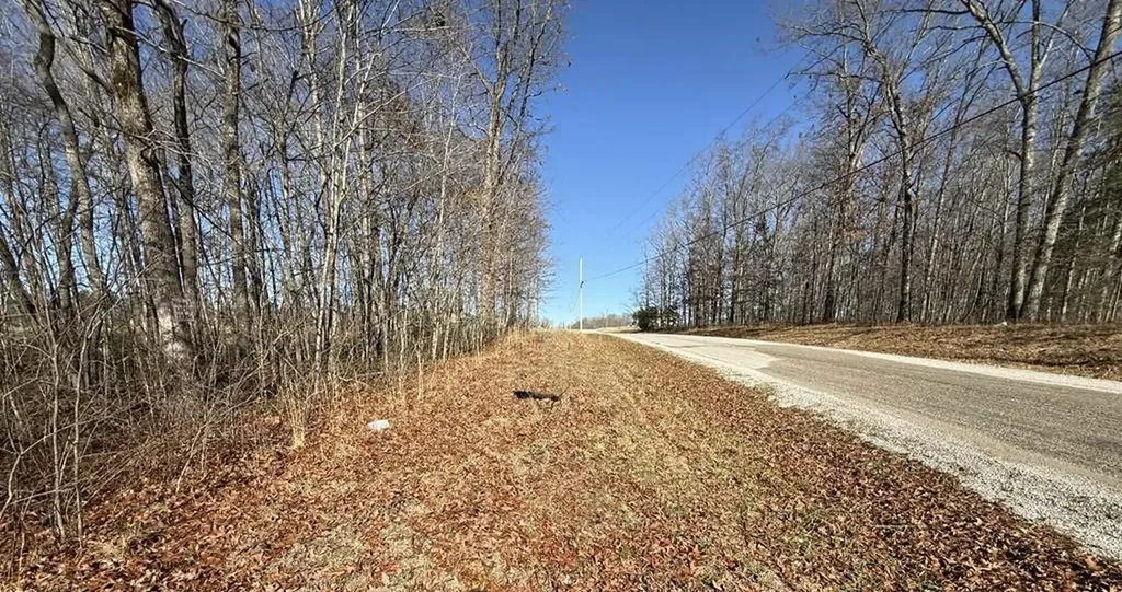 Lot 14 Georgee Road Jamestown TN 38556