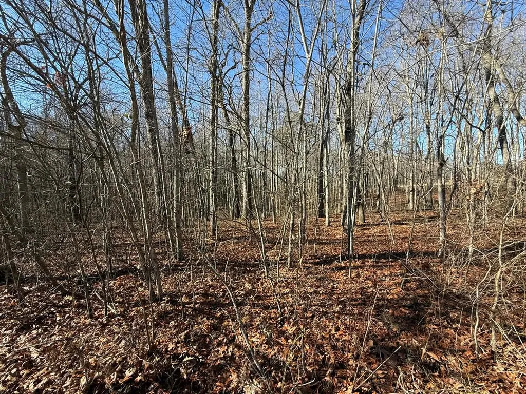 Lot 14 Georgee Road Jamestown TN 38556