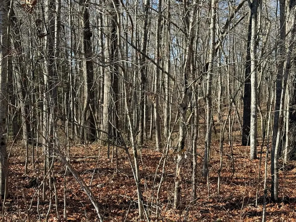 Lot 14 Georgee Road Jamestown TN 38556