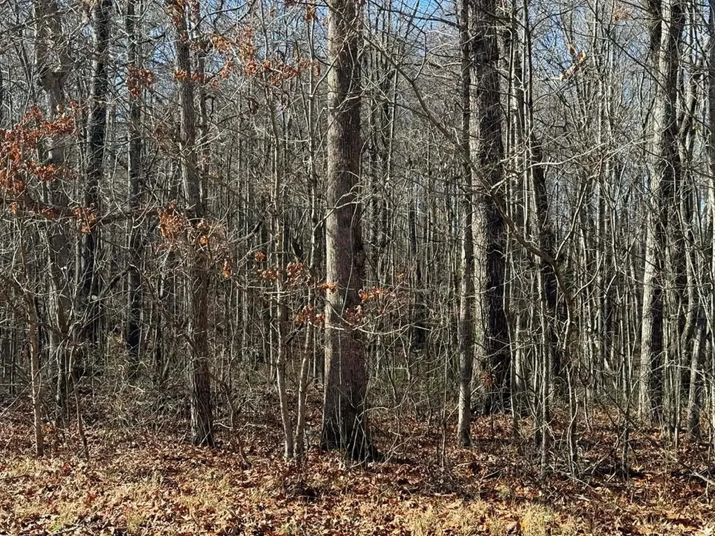 Lot 14 Georgee Road Jamestown TN 38556