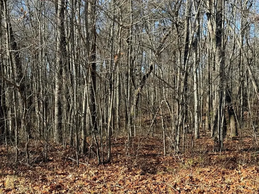 Lot 14 Georgee Road Jamestown TN 38556