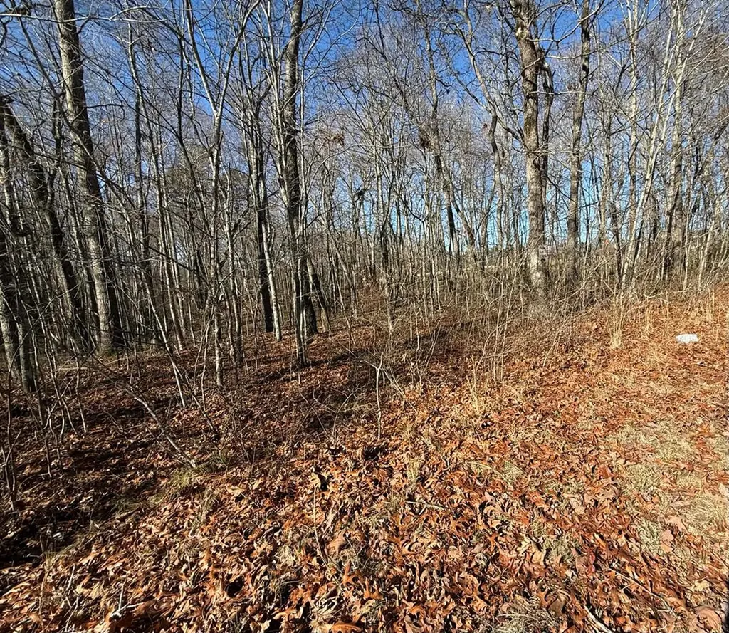Lot 14 Georgee Road Jamestown TN 38556