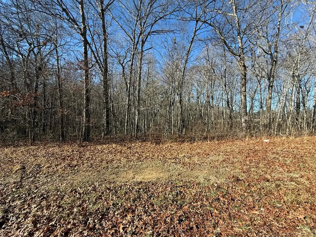 Lot 14 Georgee Road Jamestown TN 38556
