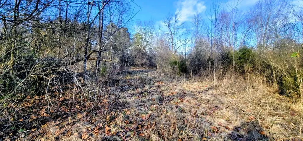 2323 College Spencer TN 38585