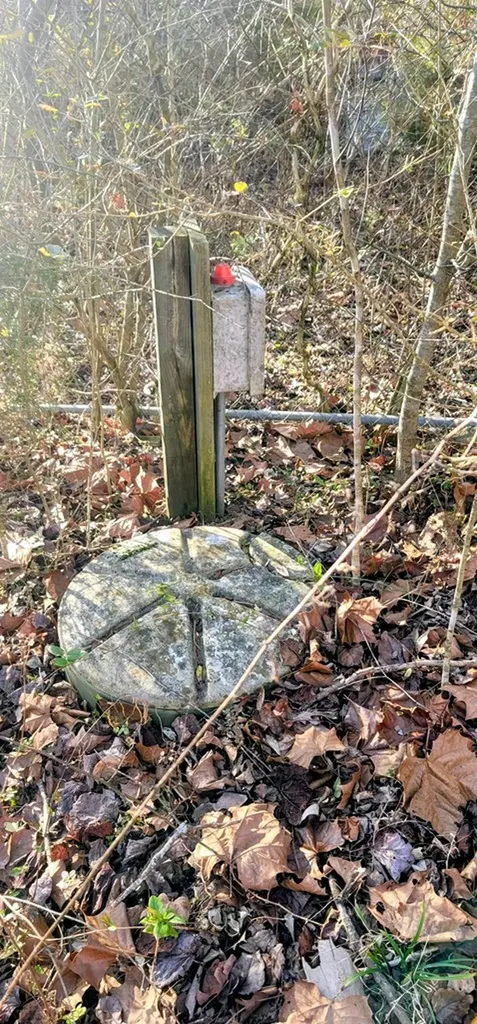 2323 College Spencer TN 38585