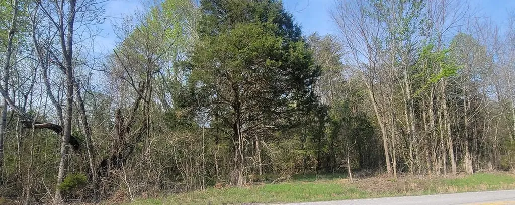 2323 College Spencer TN 38585